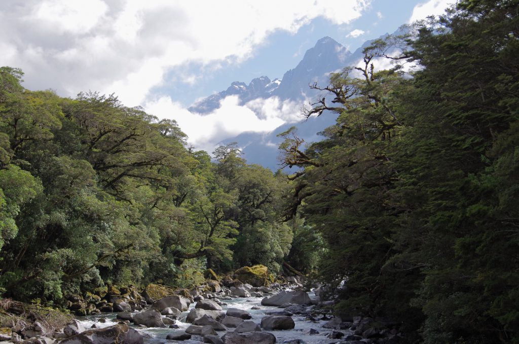 mountains_near_milford_sound